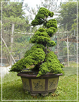 �ï]�f�֮�x���